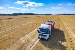 Truck, Agriculture, California, Crash, Accident, Attorney 